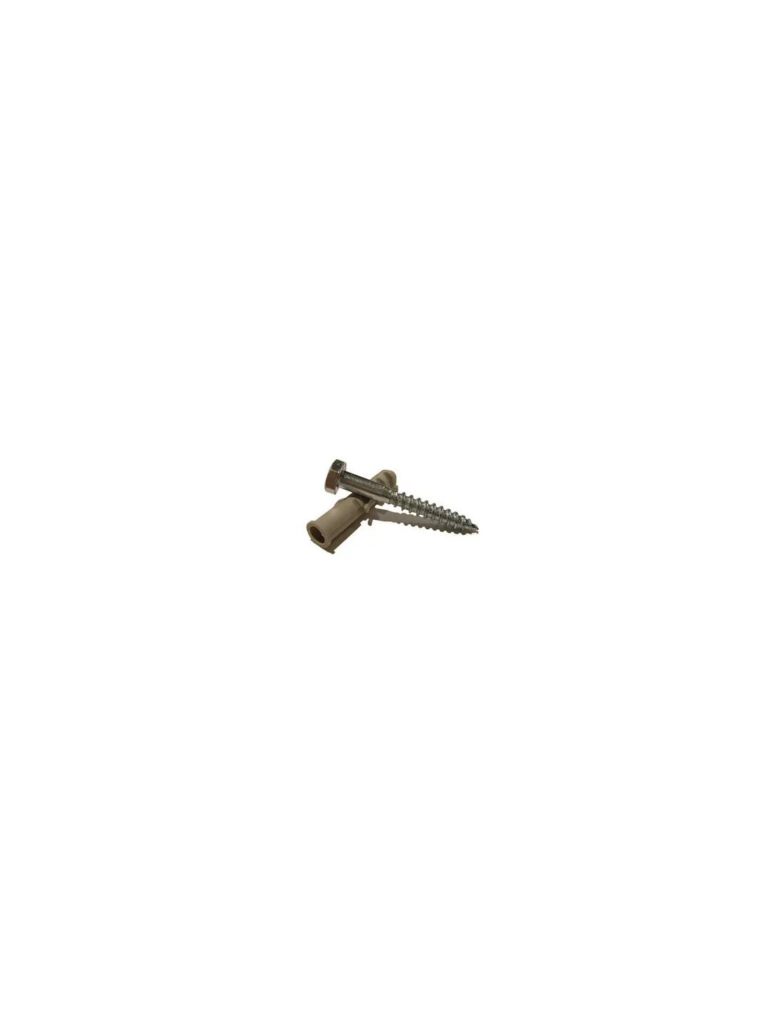 Coach Screw with Wall Plug