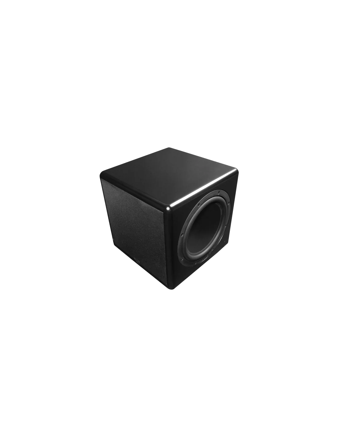 TruAudio Compact Series 10" Powered Subwoofer, Dual Passive Radiators, 250W